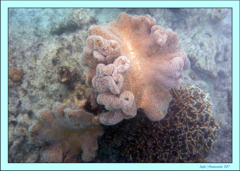 2009   07   Matakin 10